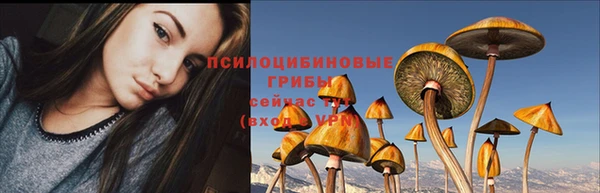 наркотики Новодвинск